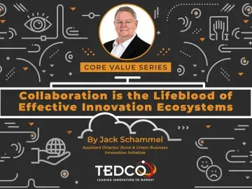 Collaboration is the Lifeblood of Effective Innovation Ecosystems